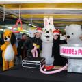 animation marché de noel